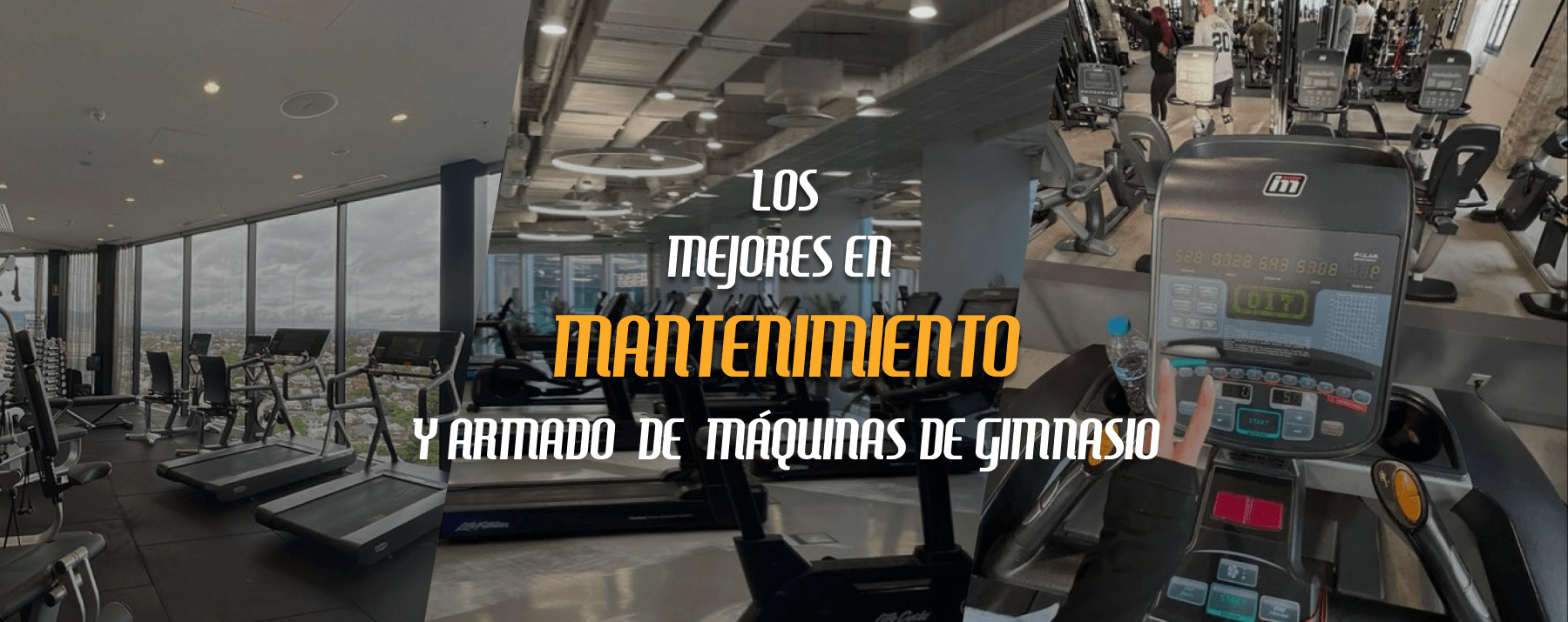 gimnasios